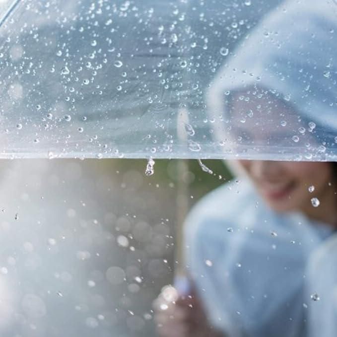 See Through Transparent Umbrella